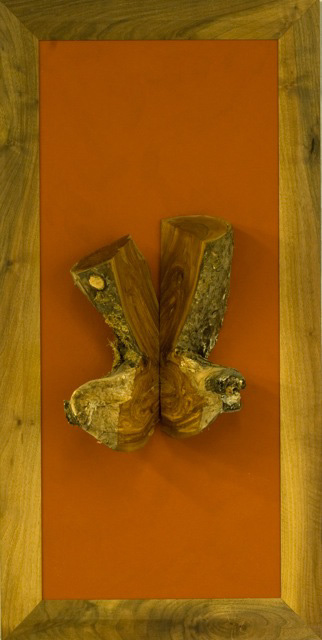 Natur_Schmetterling3